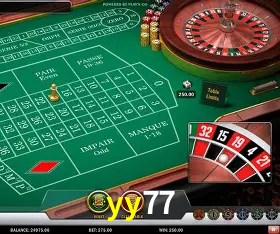 Security Systems yy77
